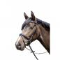 Preview: HKM Reittrense Luna