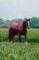 Preview: Equitheme Tyrex 1200D High Neck Decke  Polyfil 0 g dunkelbraun 135 cm