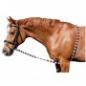 Preview: Imperial Riding Longierhilfe