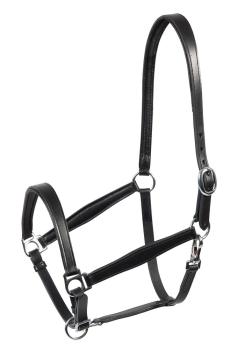 Pfiff Lederhalfter schwarz Cob