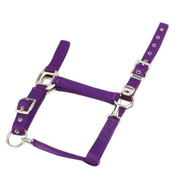 Equitheme Nylonhalfter schwere Qualität Lila WB
