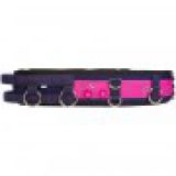 Imperial Riding Longiergurt Nylon Deluxe Fashion