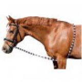 Imperial Riding Longierhilfe