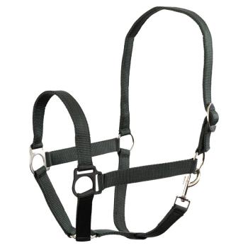 Equitheme Nylonhalfter dunkelblau Cob