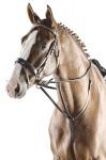 Pfiff Martingal braun Warmblut