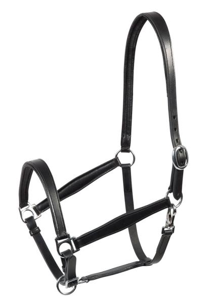 Pfiff Lederhalfter schwarz Cob