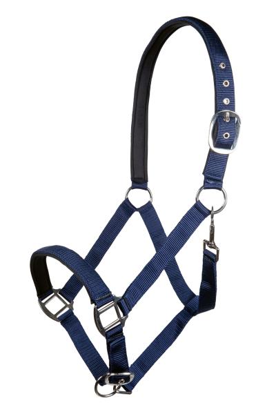 HKM Halfter -Charming- weich unterlegt  Warmblut