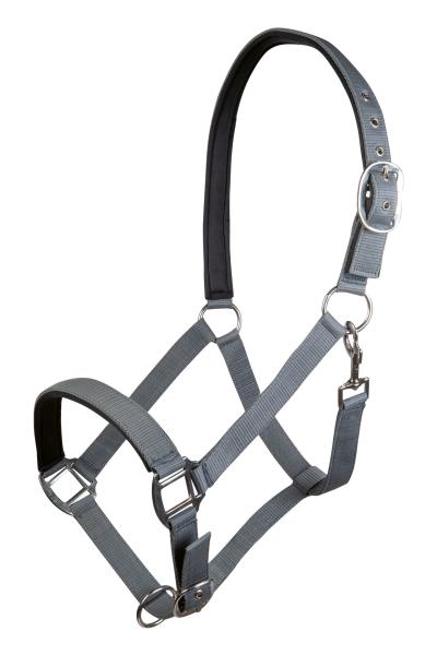 HKM Halfter -Charming- weich unterlegt  Warmblut