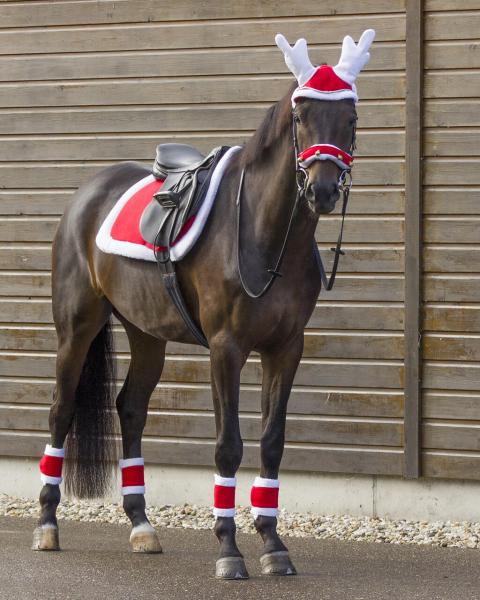 HKM Weihnachts Renntiergeweih Rot mit weißem Rand UNI