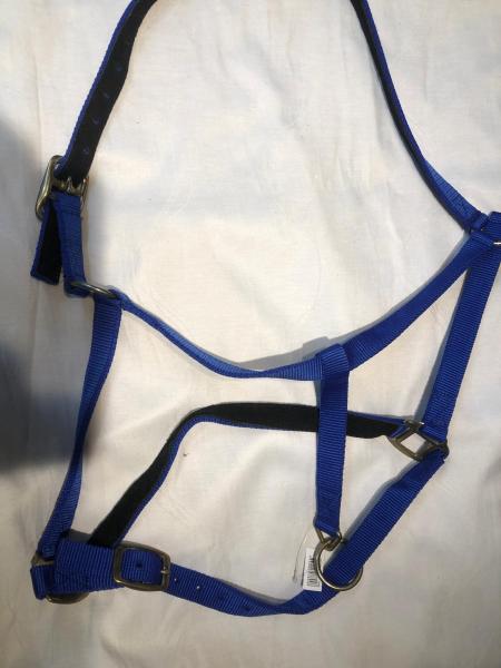 Equitheme Nylonhalfter  mit Neopren untrlegt Kaltblut