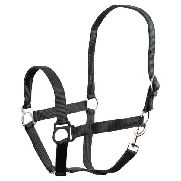 Equitheme Nylonhalfter dunkelblau Cob