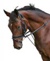 Pfiff Chambon Warmblut schwarz